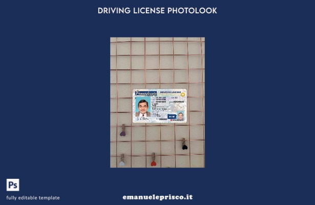 modello FRONTALE photolook USA Pennsylvania DL stile verificato